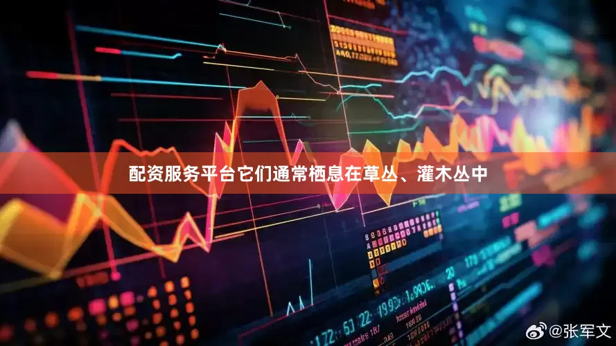 配资服务平台它们通常栖息在草丛、灌木丛中