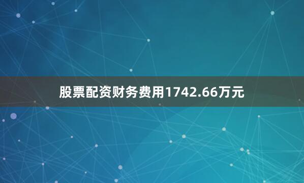 股票配资财务费用1742.66万元