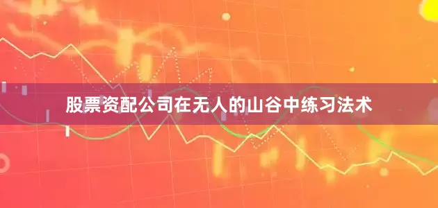 股票资配公司在无人的山谷中练习法术
